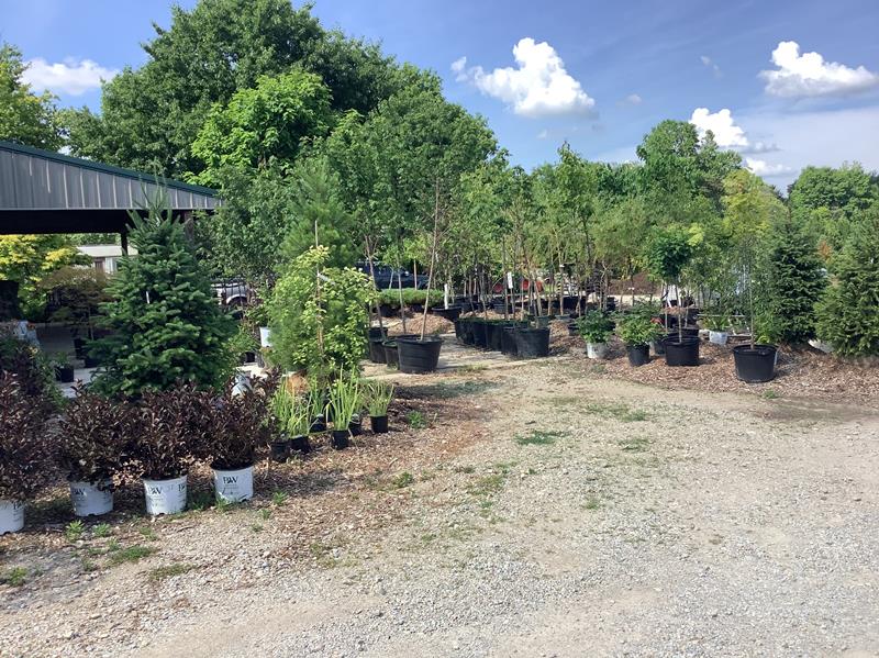Pleasant View Nursery, Garden Center & Florist Richmond, IN